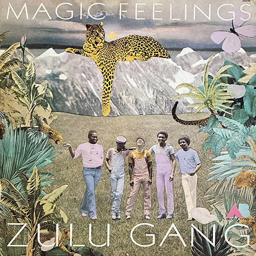 zulu gang - magic feelings VG+